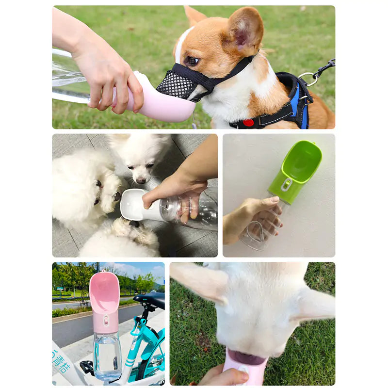 Pet Dog Water Bottle Feeder - Pets Accomplice